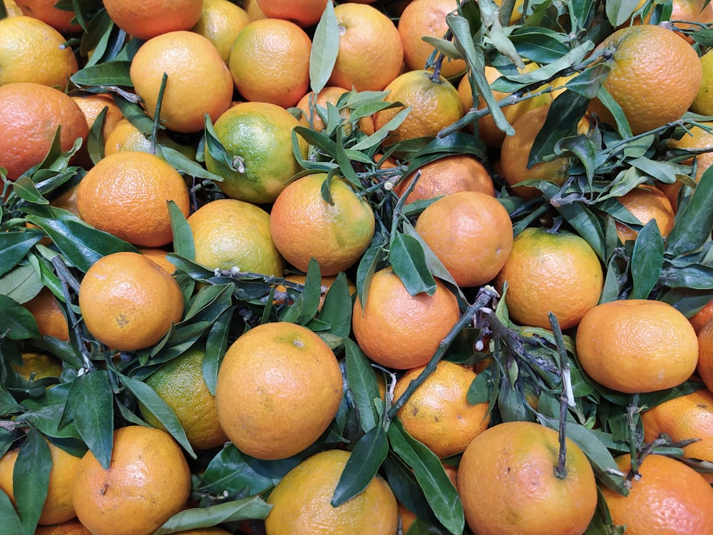 orange fruits on green grass