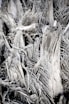 brown dried grass during daytime