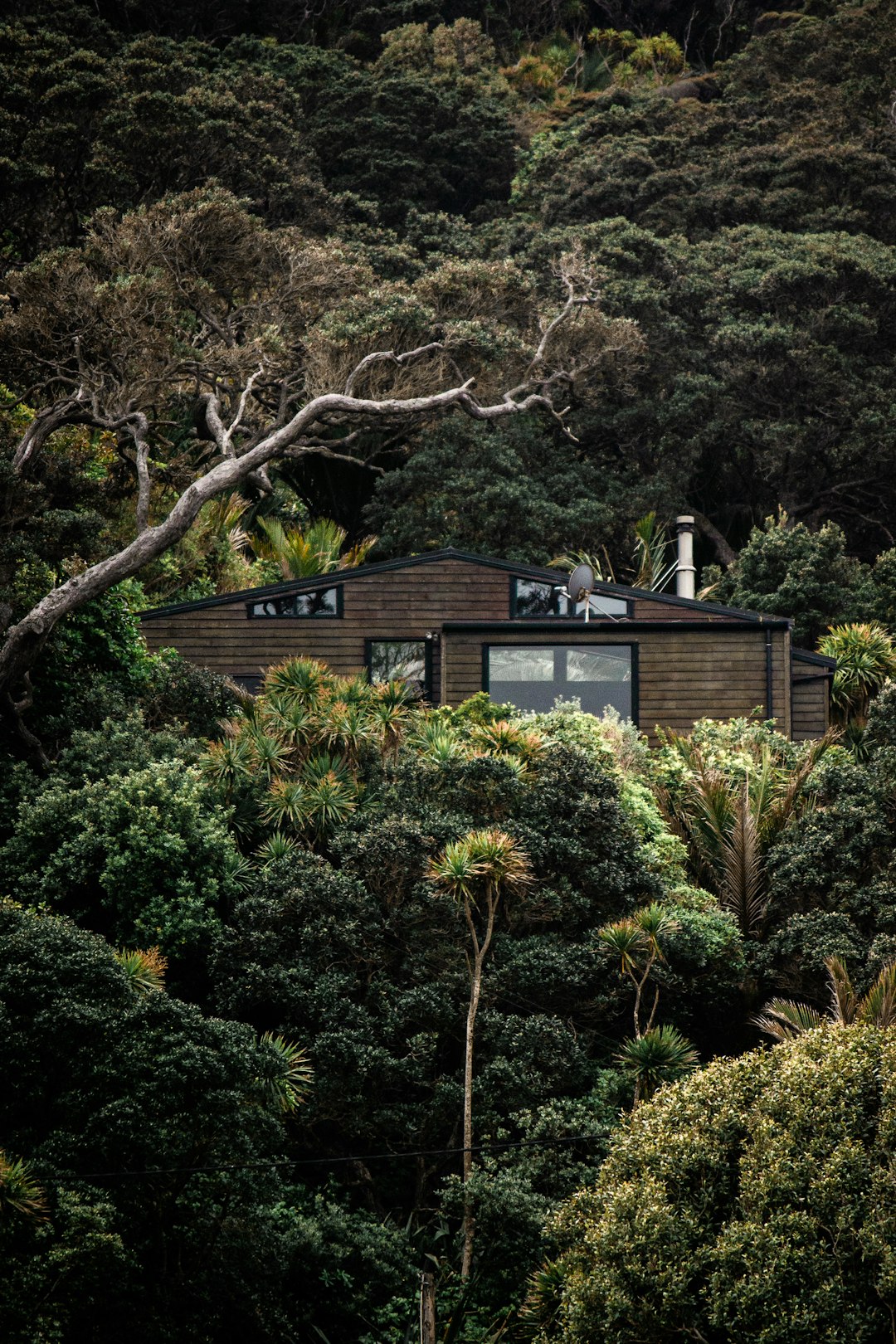 brown and white wooden house surrounded by green trees during daytime