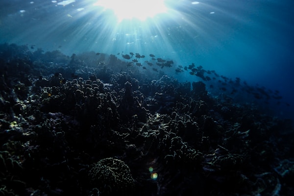 Introducing The Wakatobi Archipelago