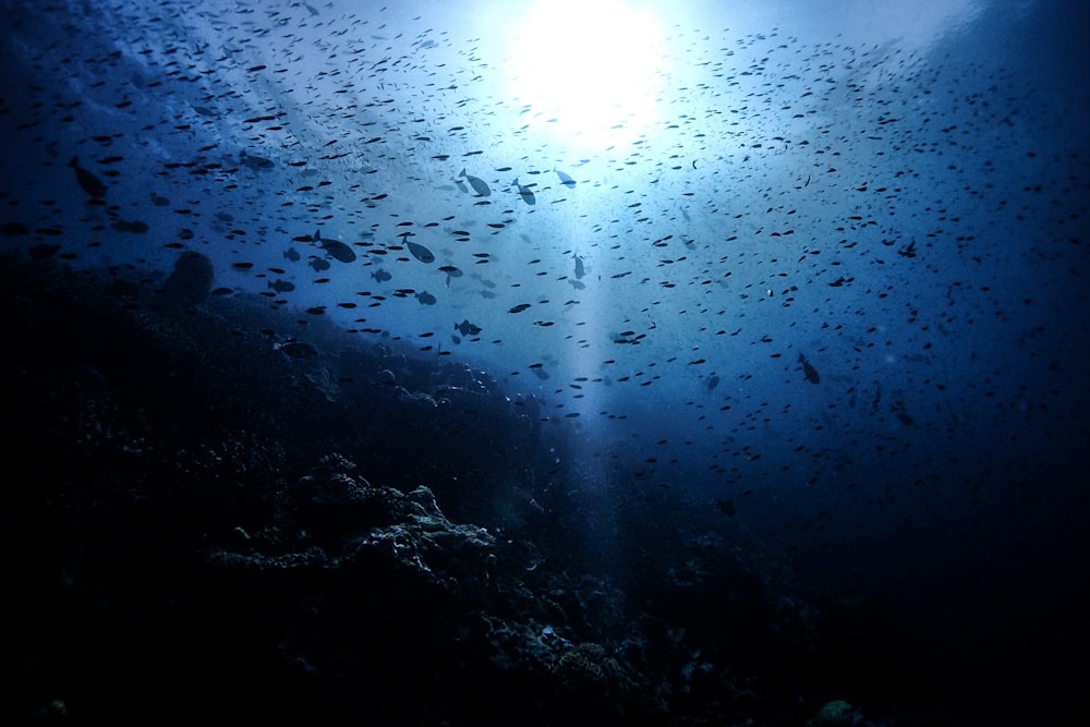 sun rays on clear glass