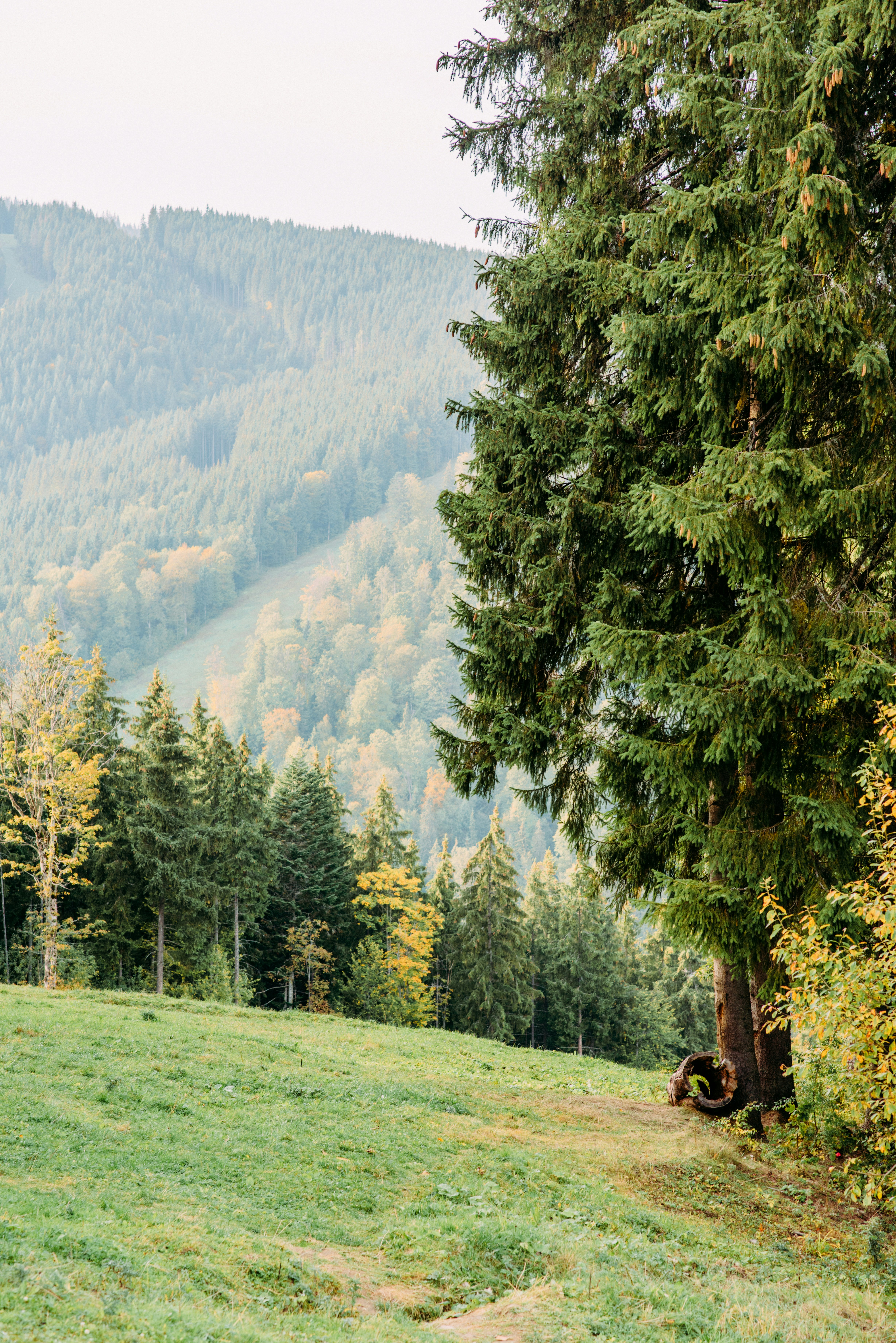 Photo by eugenivy_now