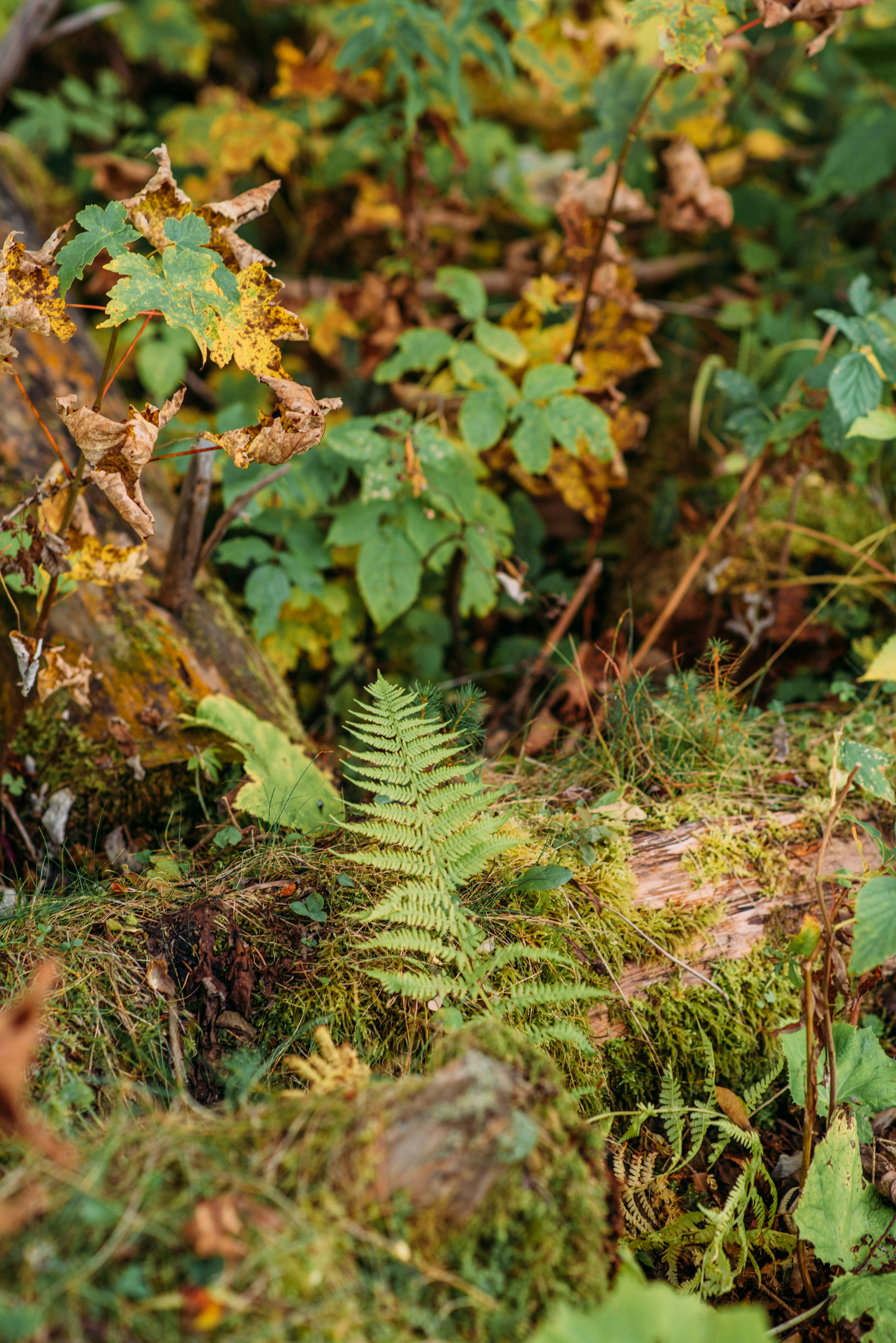 Photo by eugenivy_now