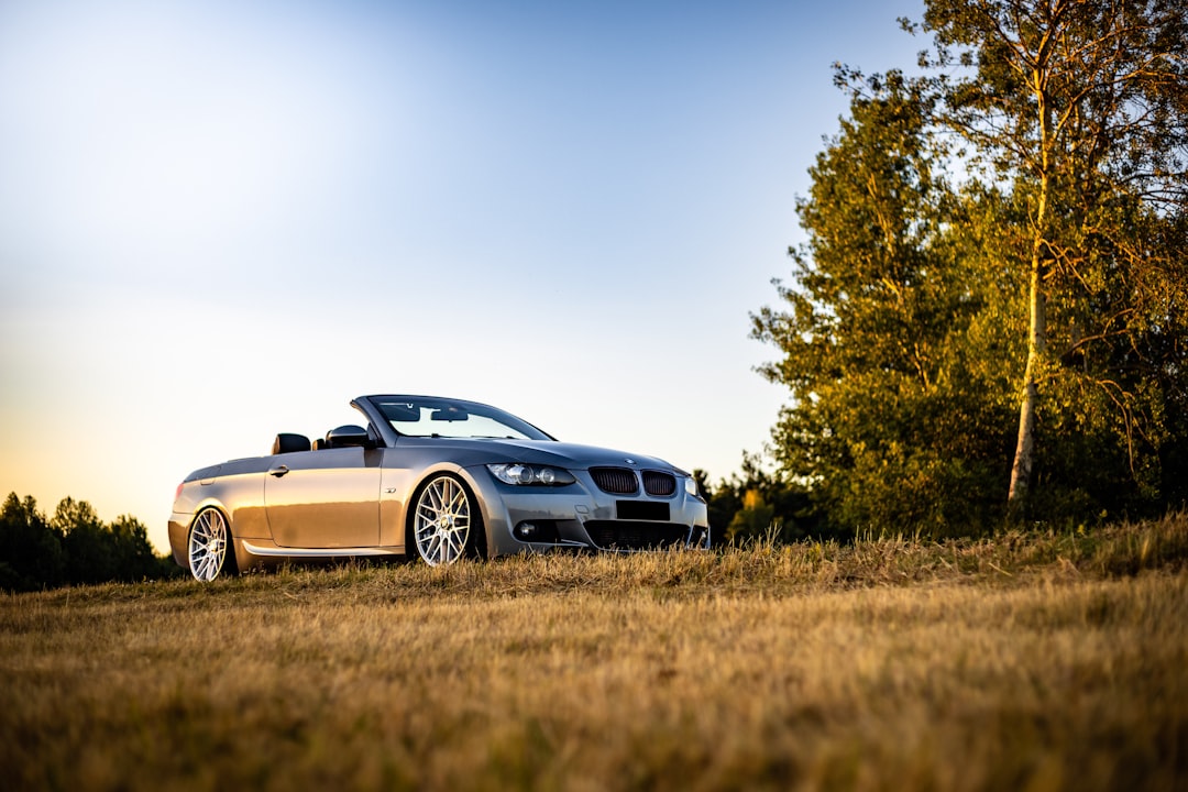 blue bmw m 3 coupe on brown grass field during daytime
