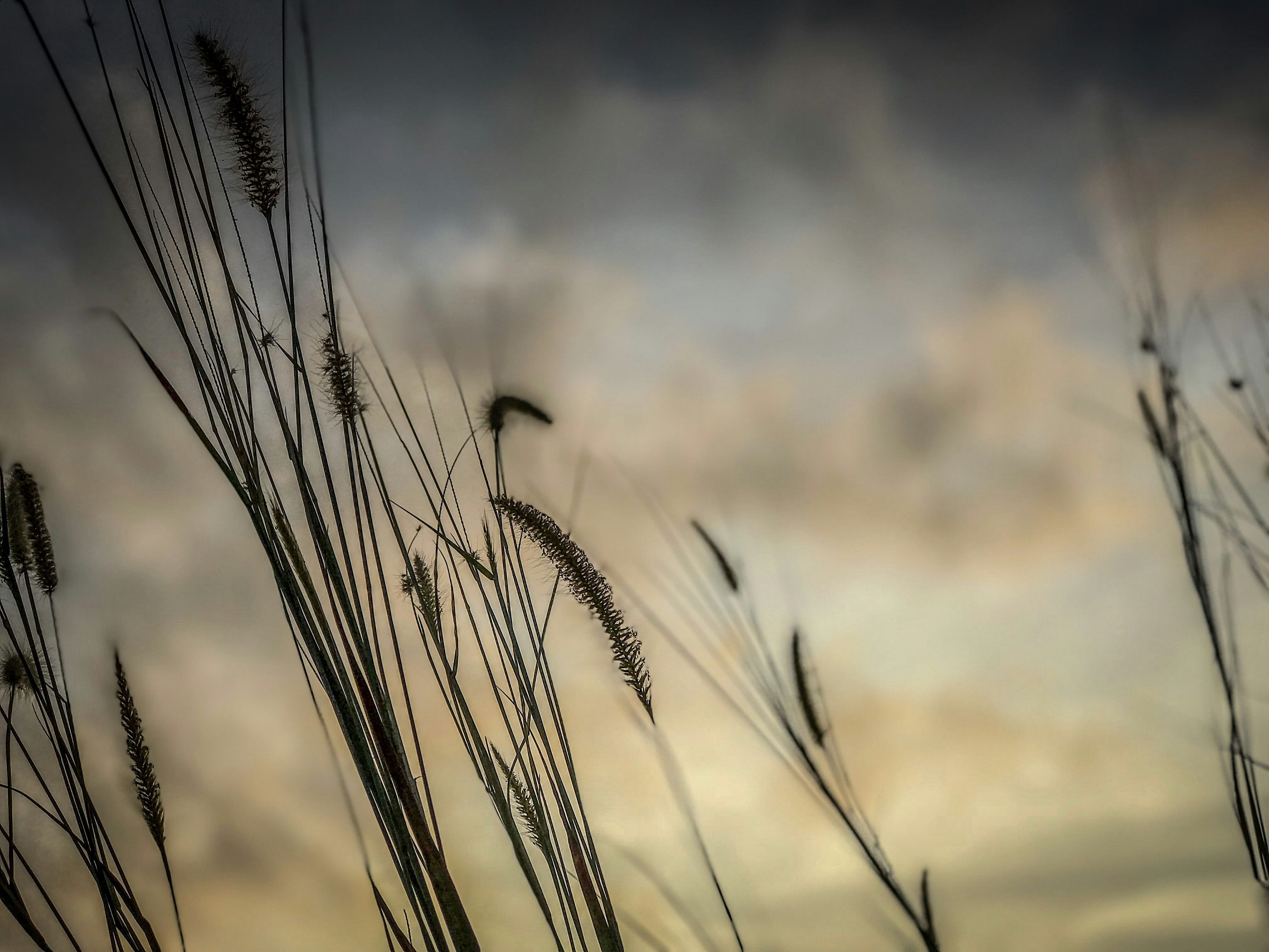 Photo by pariwat_1987