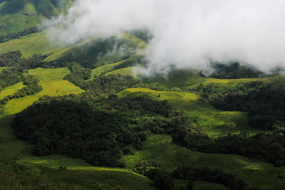 green grass field with white smoke