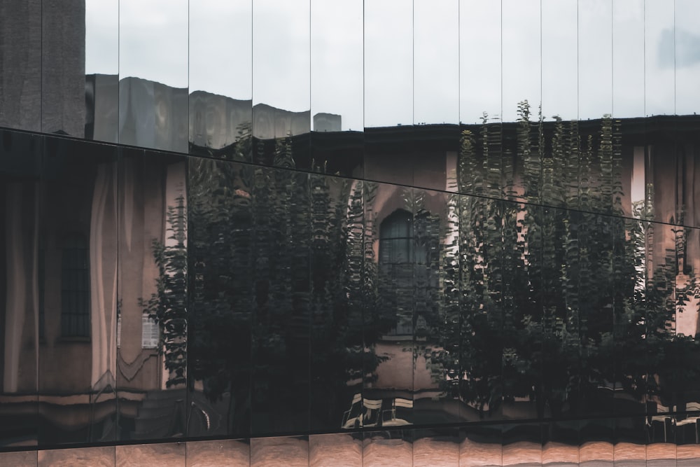 green trees near gray concrete building during daytime