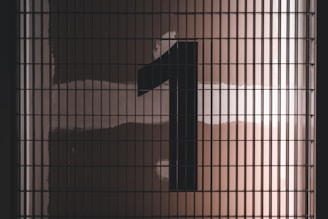 black and white checkered textile