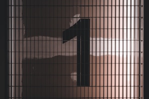 black and white checkered textile