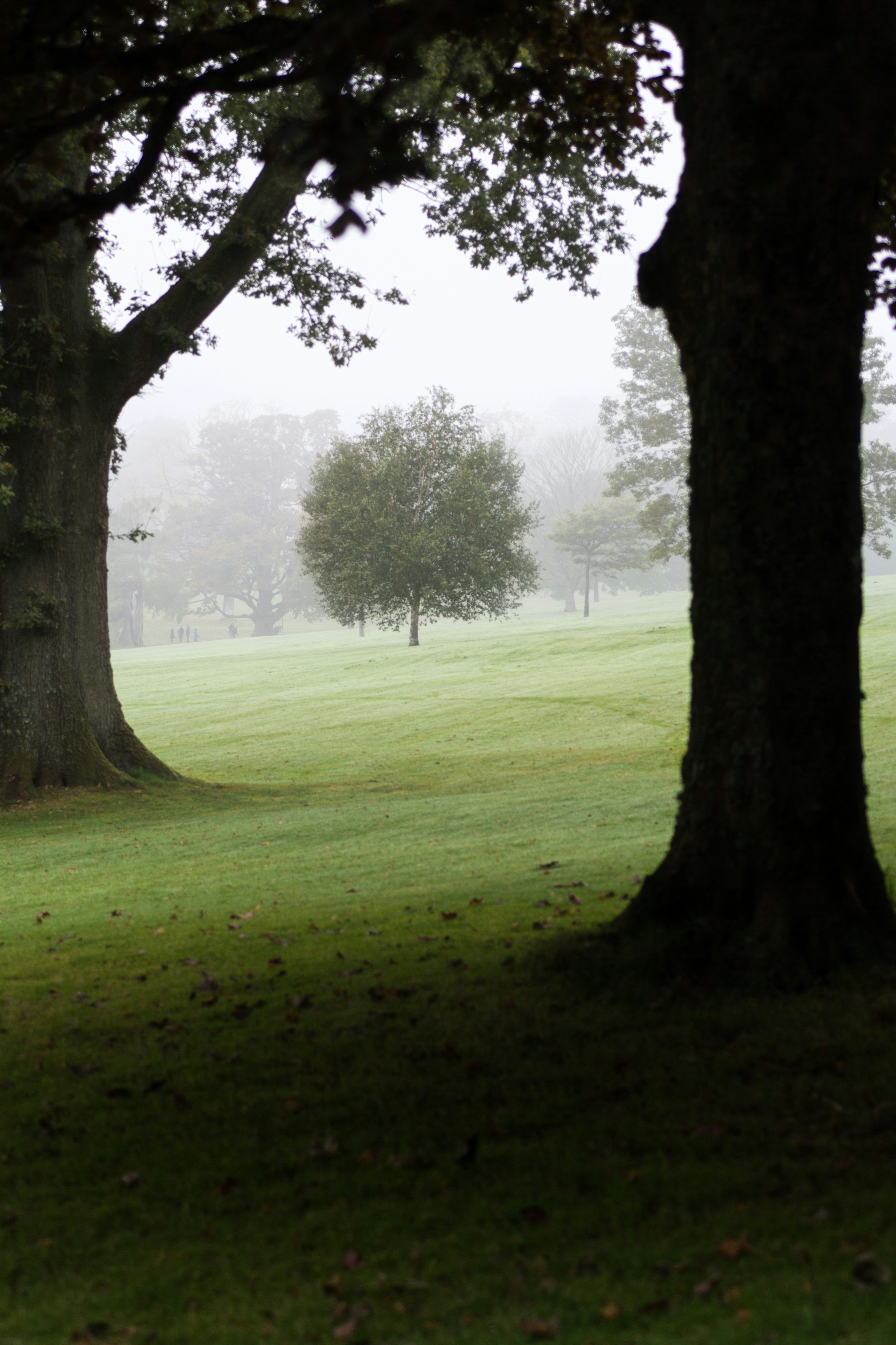 Photo by garyellisphoto