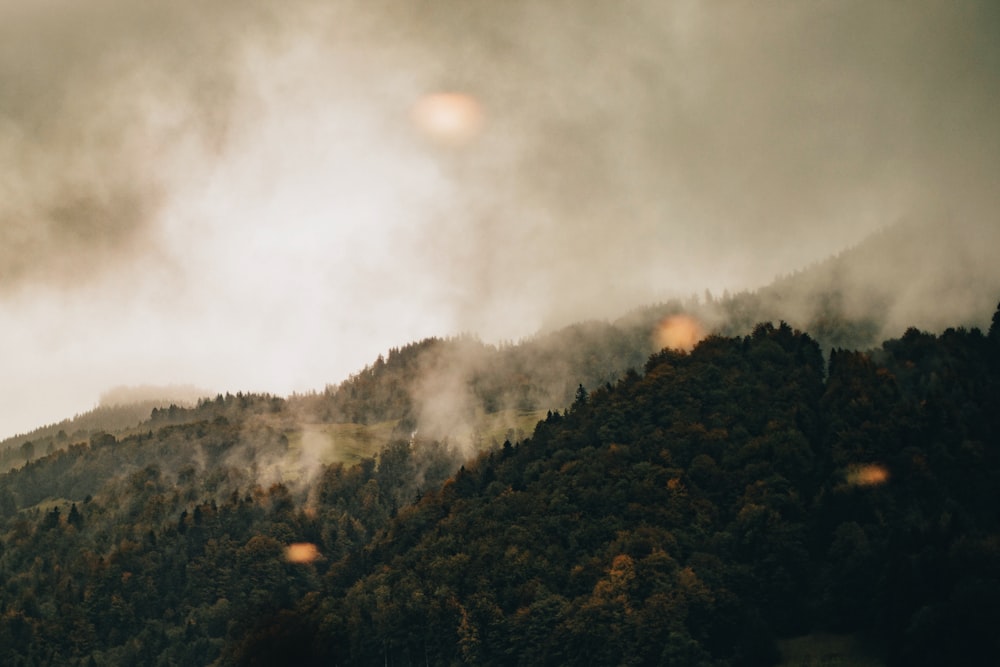 árvores verdes na montanha sob nuvens brancas durante o dia