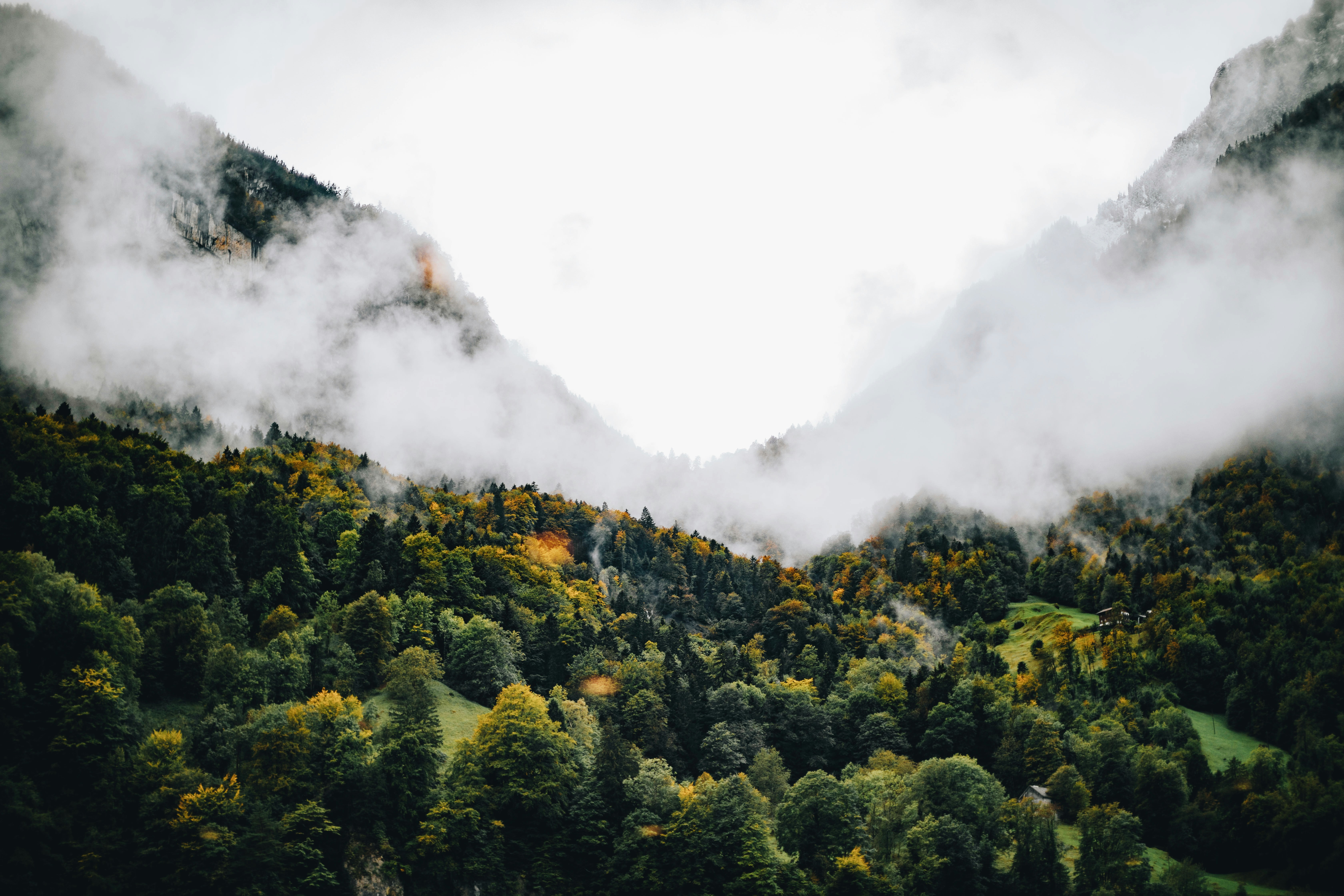 Photo by nina_mercado