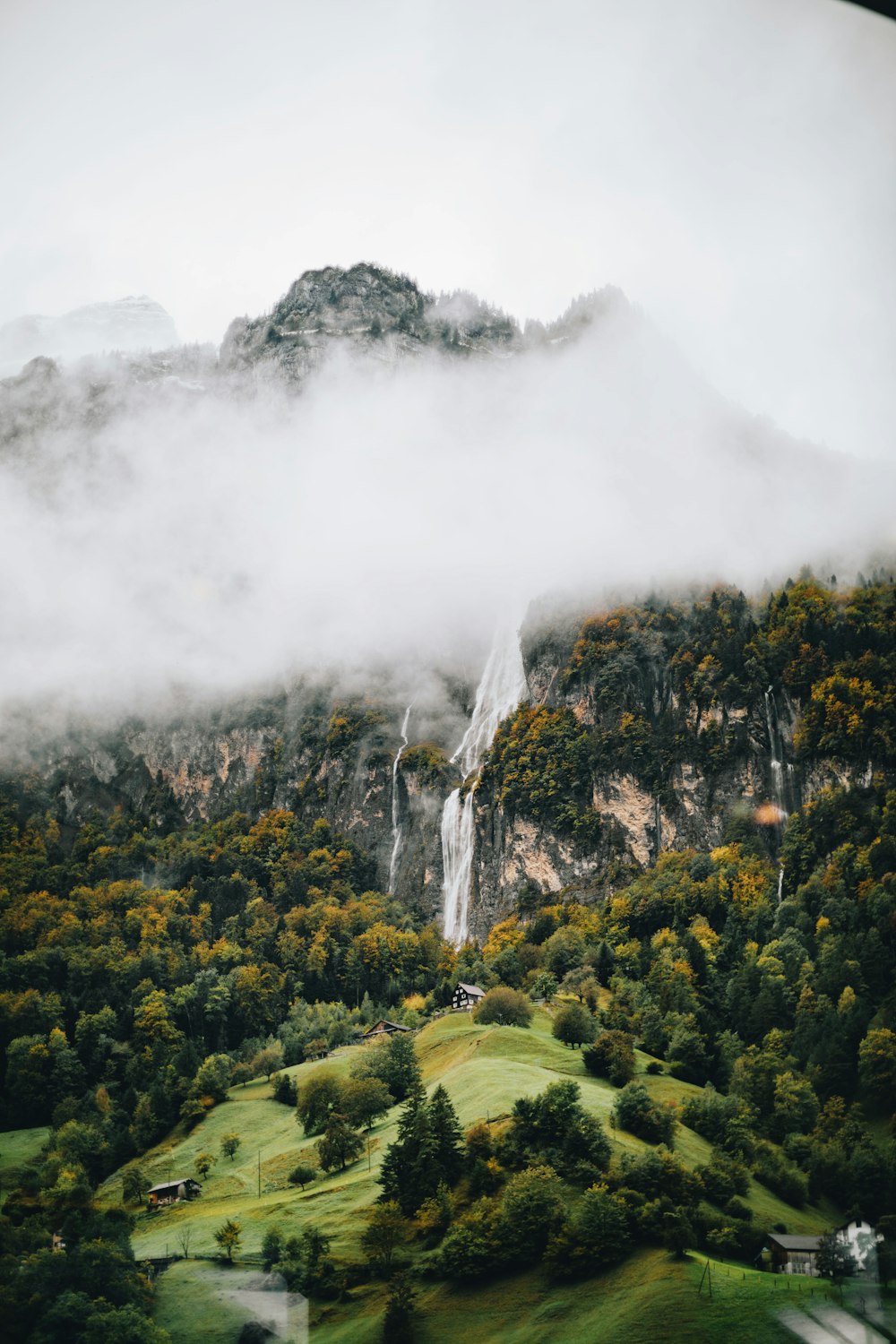 green trees near waterfalls during daytime