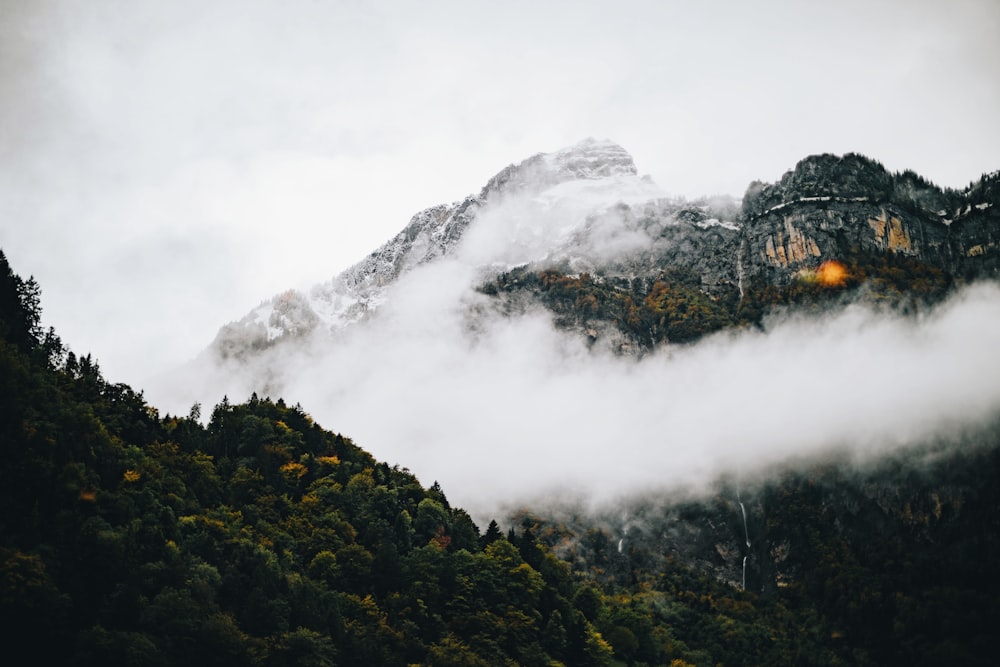 green trees on mountain under white clouds during daytime