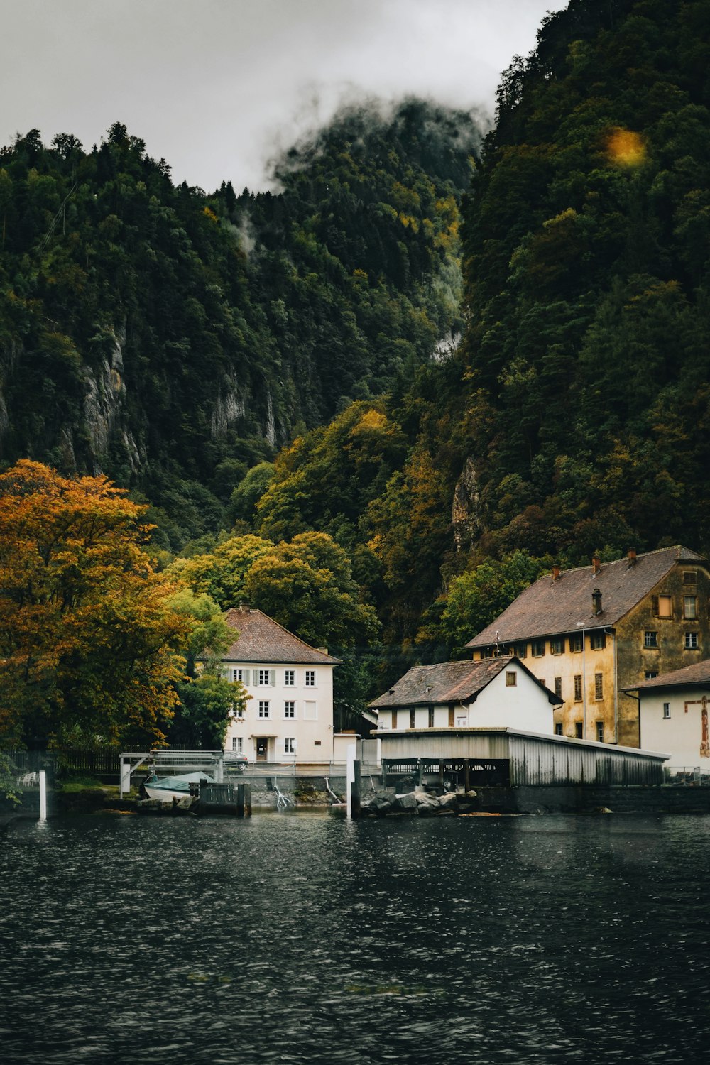 Maison blanche et brune près des arbres verts et du plan d’eau pendant la journée