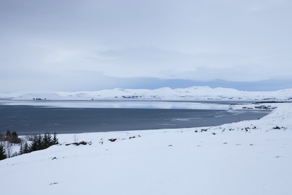 snow covered field near body of water during daytime