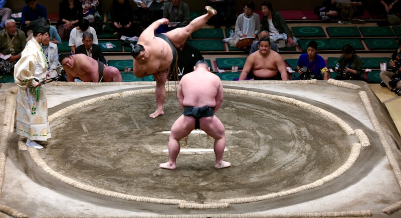 sumo wrestler, sumo ring, dohyo, mawashi, sumo tournament