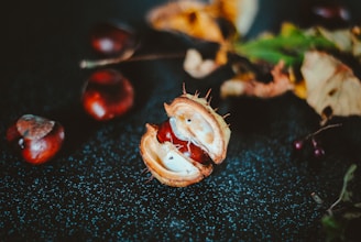 Close-up of fresh Spanish chestnuts and padrón peppers arranged on rustic wooden table.