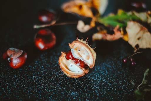 Close-up of fresh Spanish chestnuts and padrón peppers arranged on rustic wooden table.