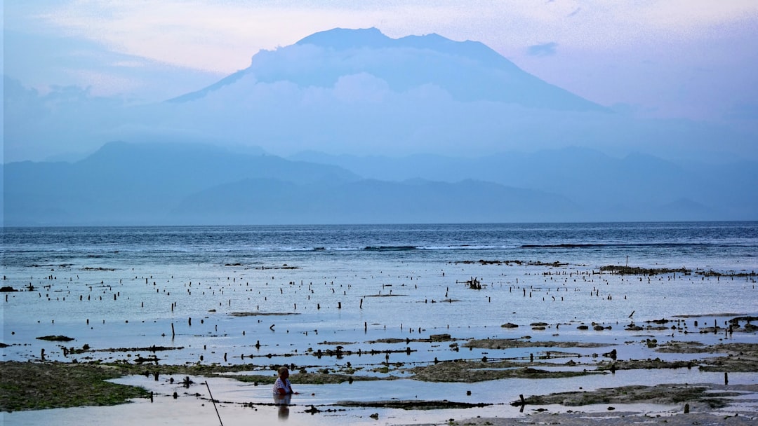 Plain photo spot Bali East Java