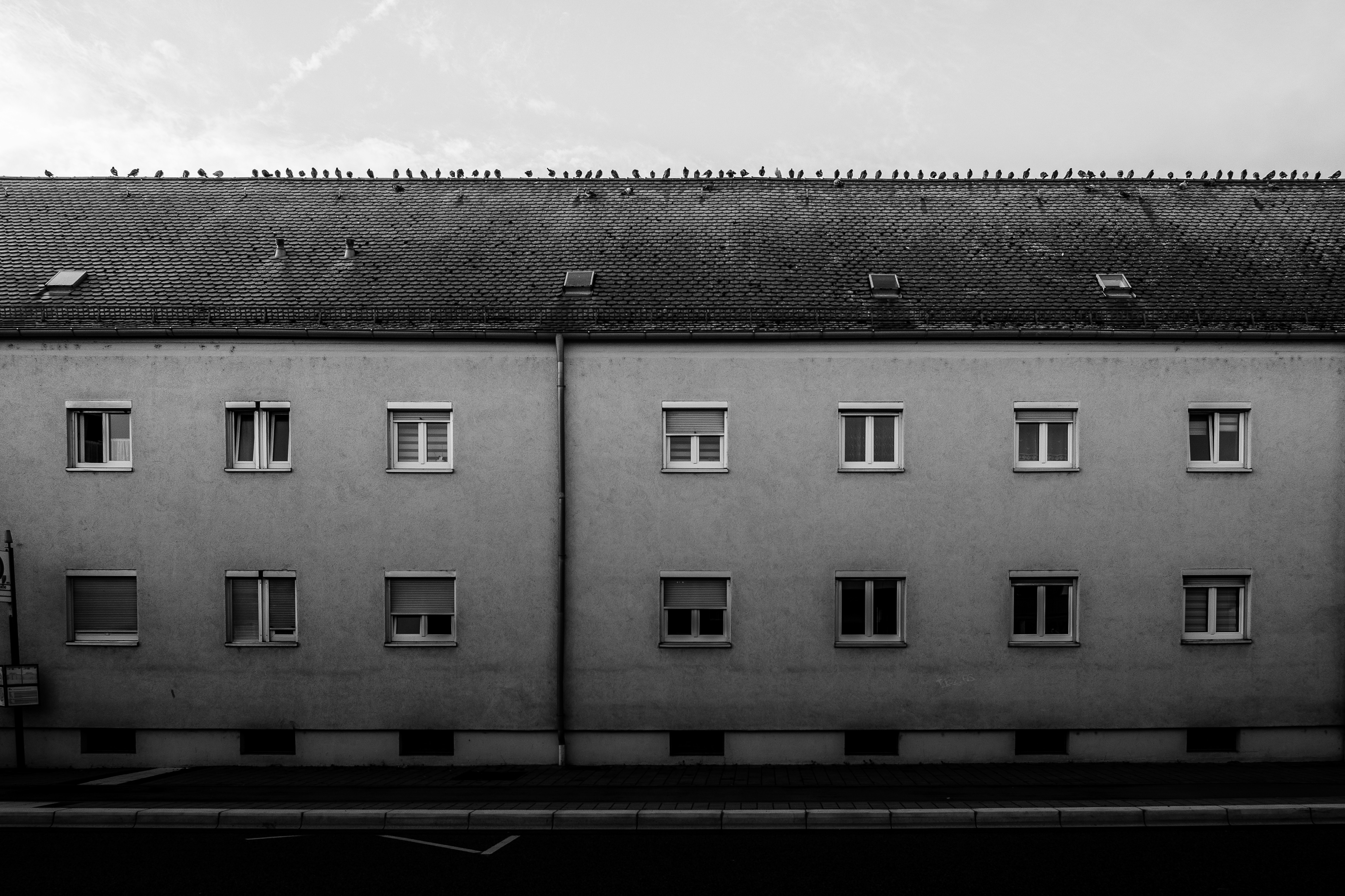 Photo by steinbrueckri