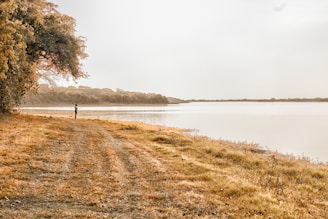 A serene landscape with a person enjoying nature.
