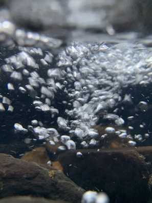 Bubbles rise and float through water, creating a dynamic and lively motion against a dark background. Rocks or sediment at the bottom ground the scene, with the water appearing somewhat turbulent.
