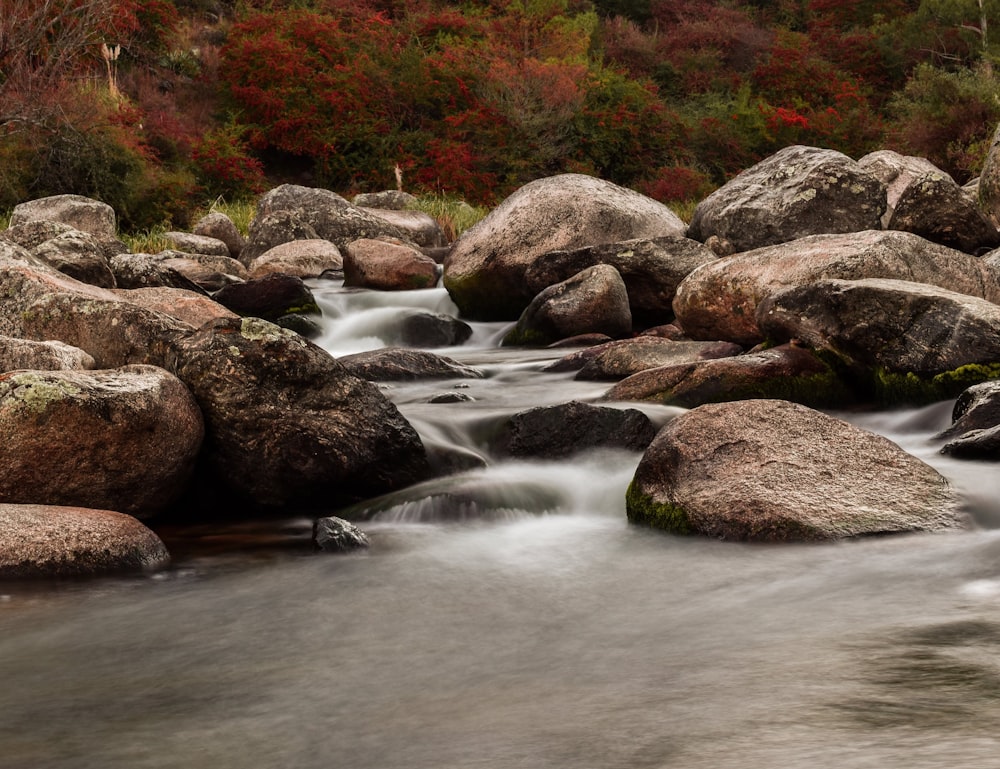 river in the middle of rocks