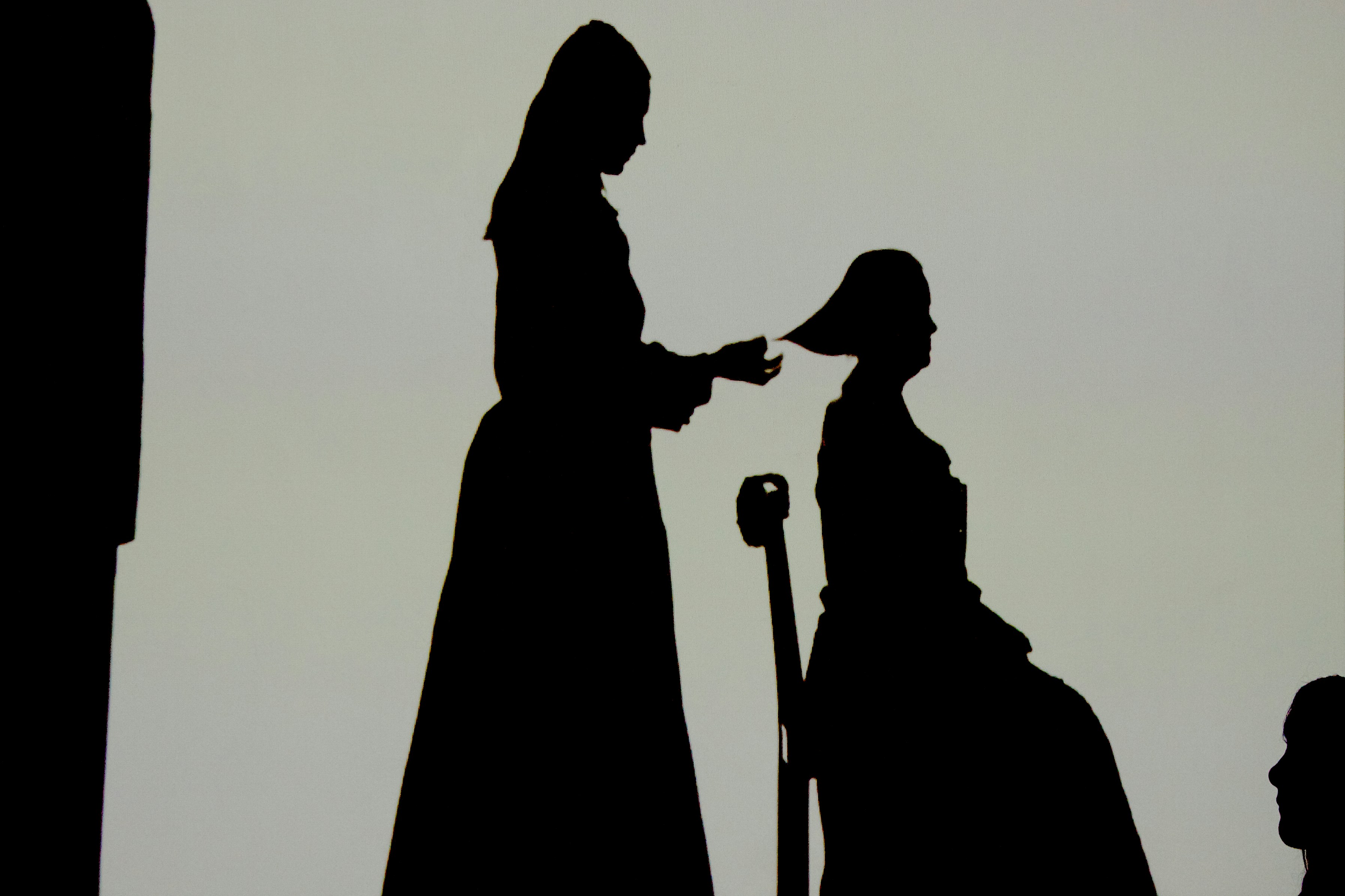 silhouette of woman holding stick