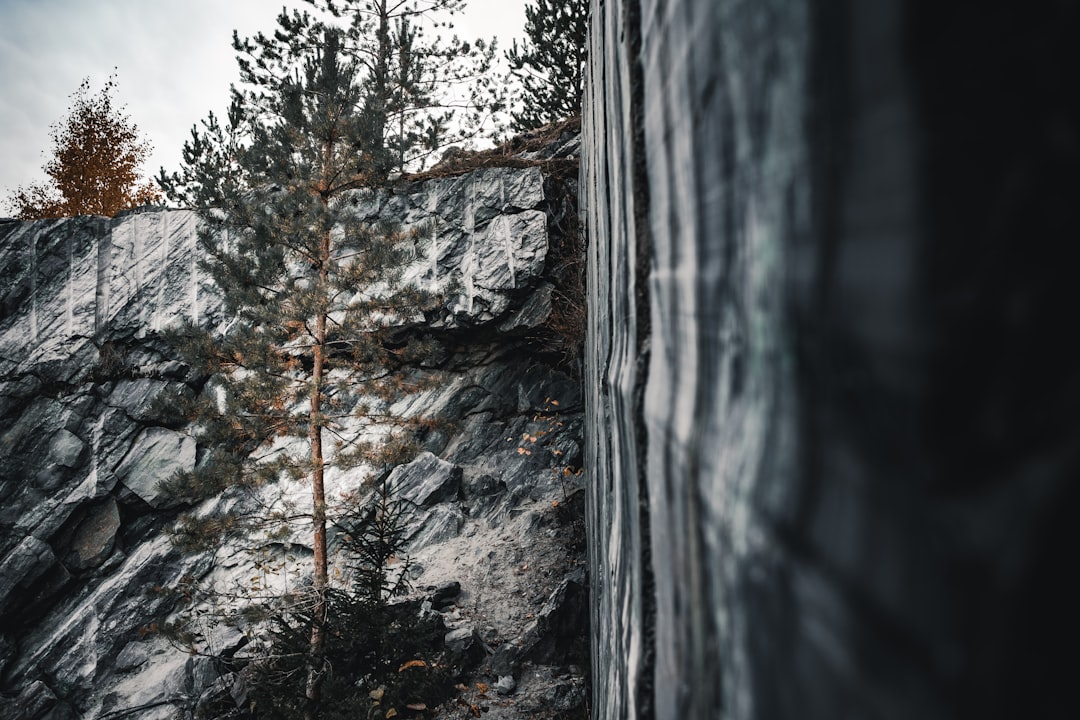 green pine tree on rocky mountain, https://www.instagram.com/mary_ray_foto/