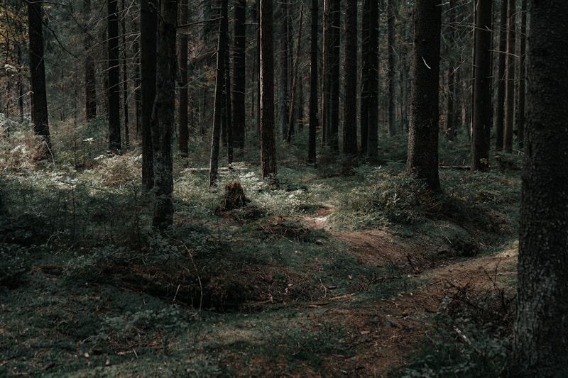 Eco-trail