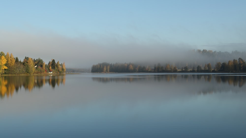 green trees beside lake under blue sky during daytime