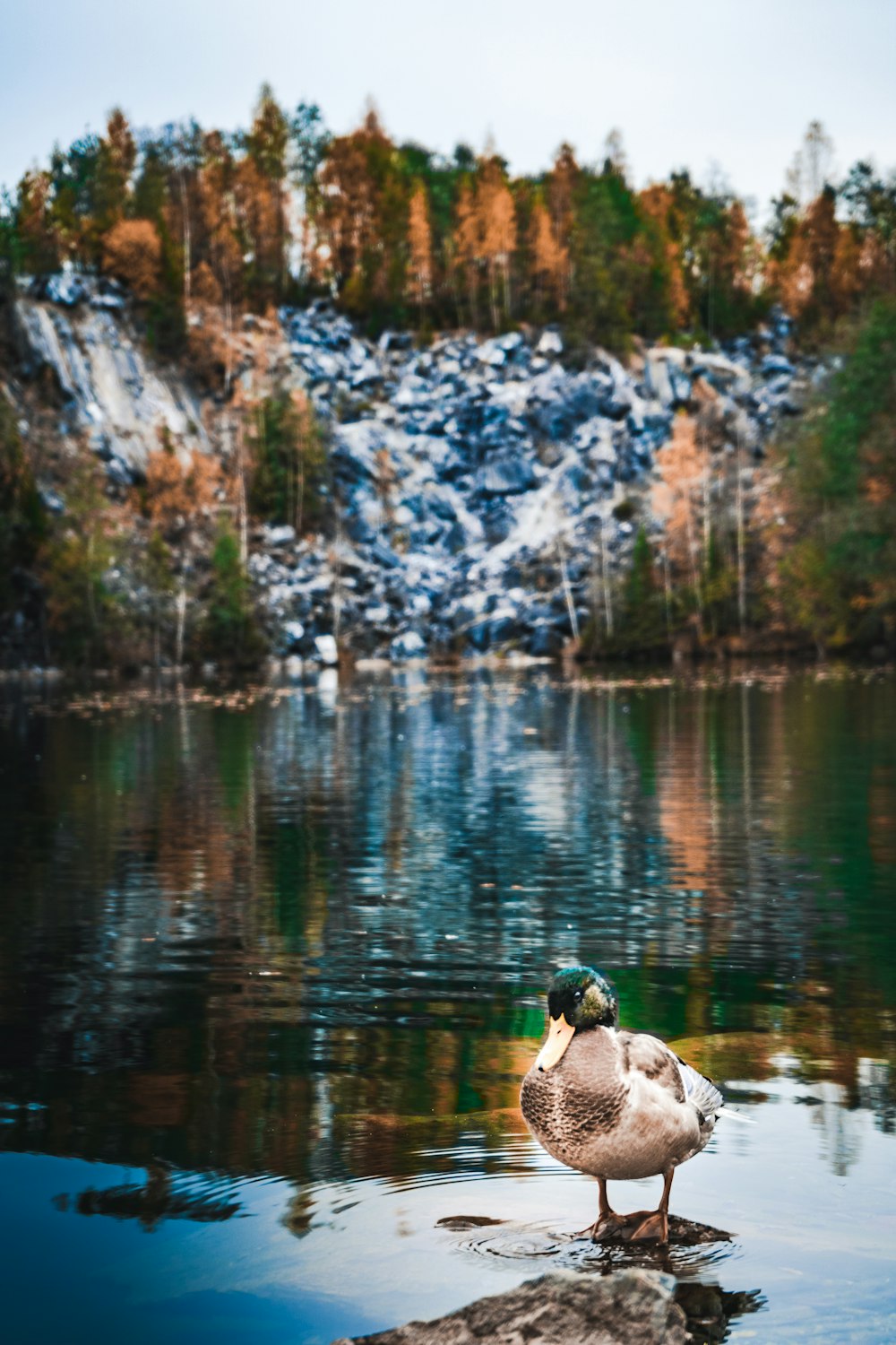 homme et femme assis sur le rocher en face du lac pendant la journée