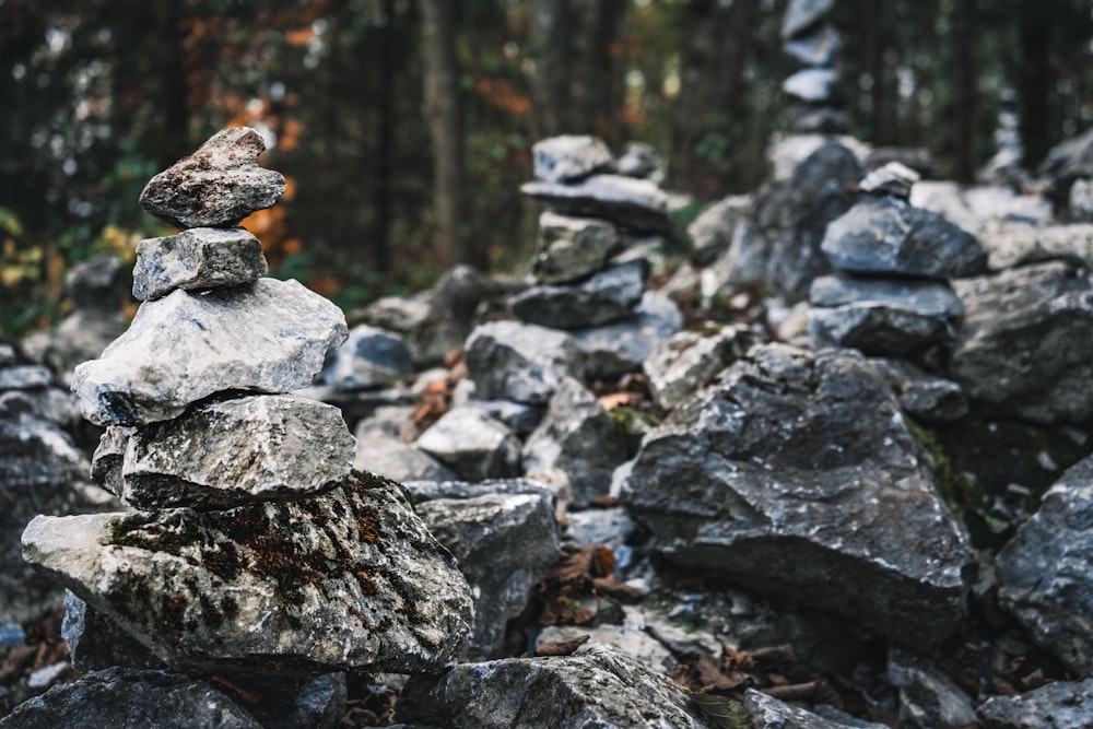 gray and black rocks near green trees during daytime