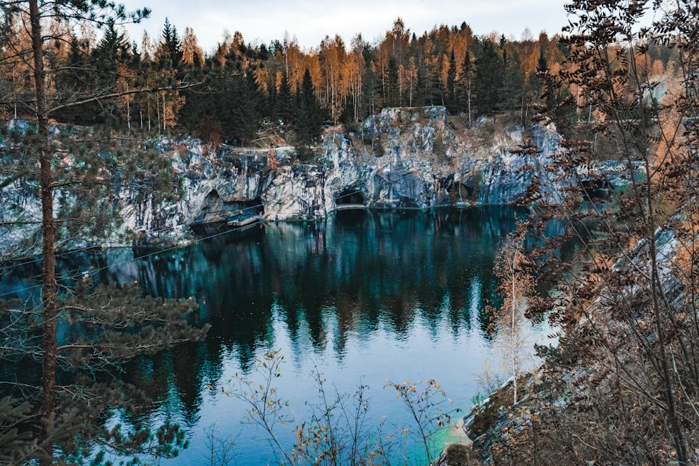 pins verts près du lac pendant la journée