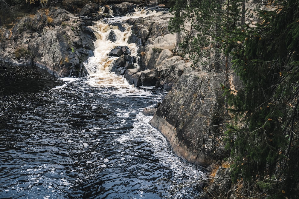 L'acqua cade tra gli alberi verdi durante il giorno