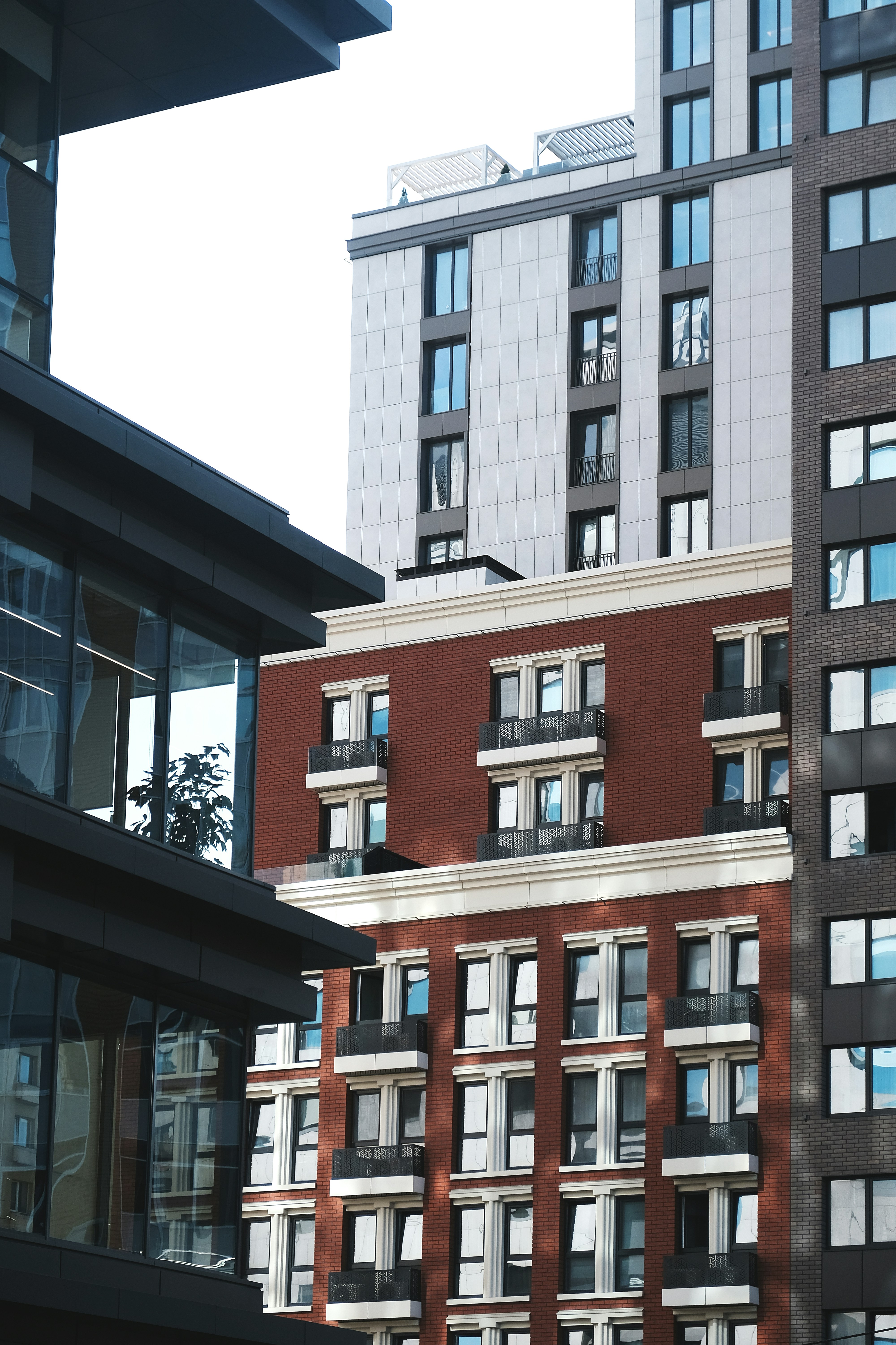 Photo by dpidhrushnyi