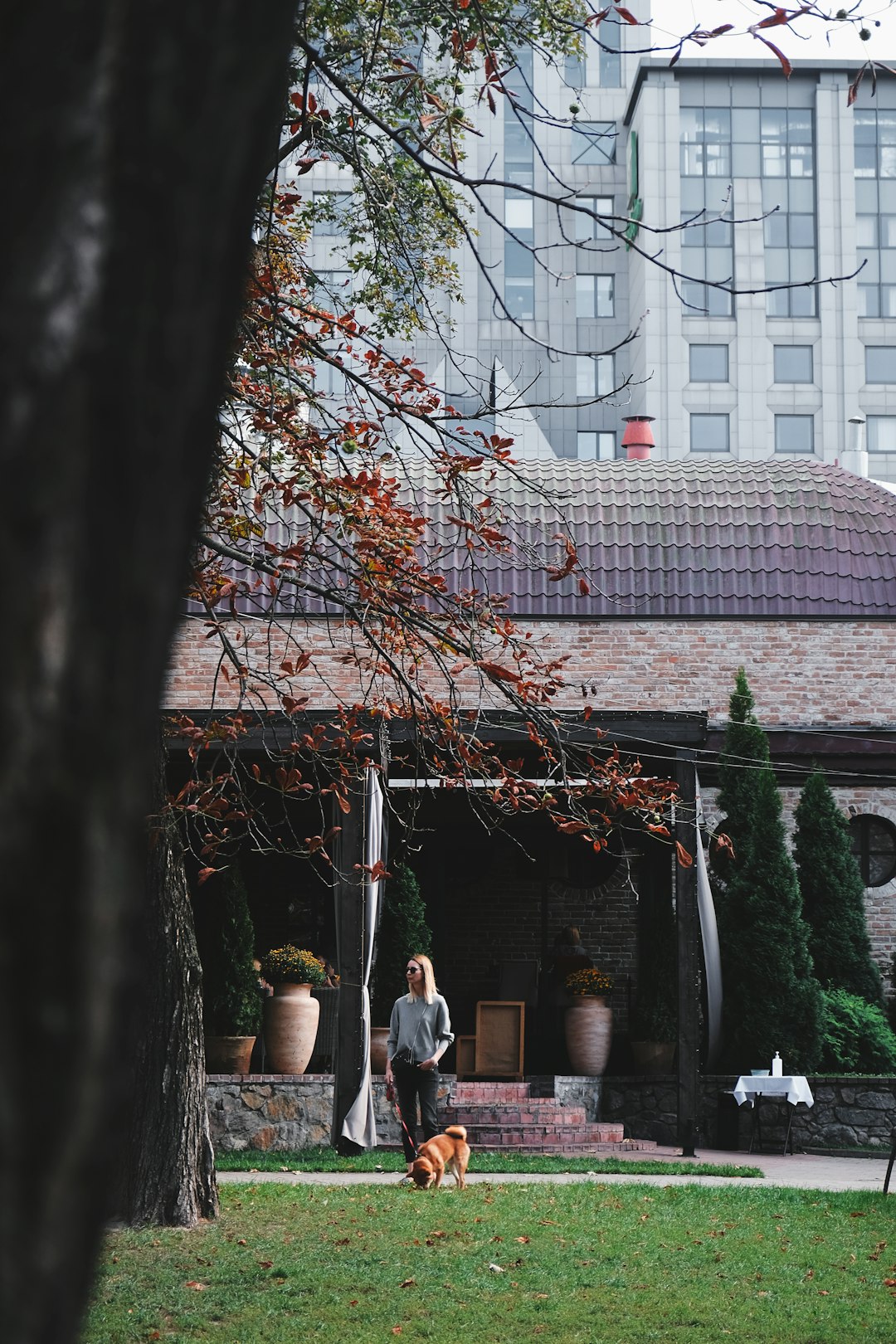 people sitting on bench near building during daytime