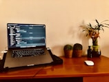 A laptop displaying a chat application is placed on a wooden desk. To the right, there are two small potted plants and a taller plant in a glass vase. A wireless mouse rests on the desk alongside a small dark bottle.