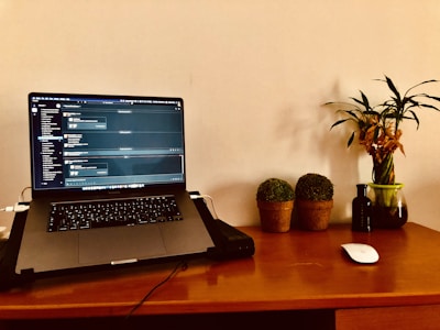 A laptop displaying a chat application is placed on a wooden desk. To the right, there are two small potted plants and a taller plant in a glass vase. A wireless mouse rests on the desk alongside a small dark bottle.