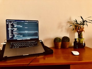 A laptop displaying a chat application is placed on a wooden desk. To the right, there are two small potted plants and a taller plant in a glass vase. A wireless mouse rests on the desk alongside a small dark bottle.