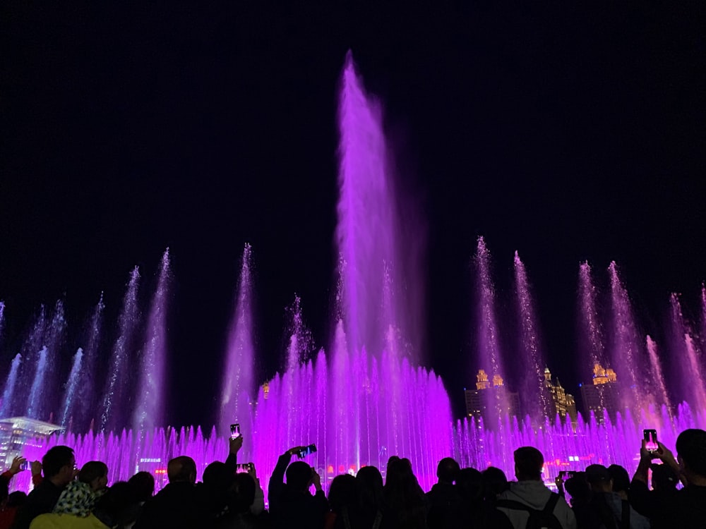 people watching water fountain during night time