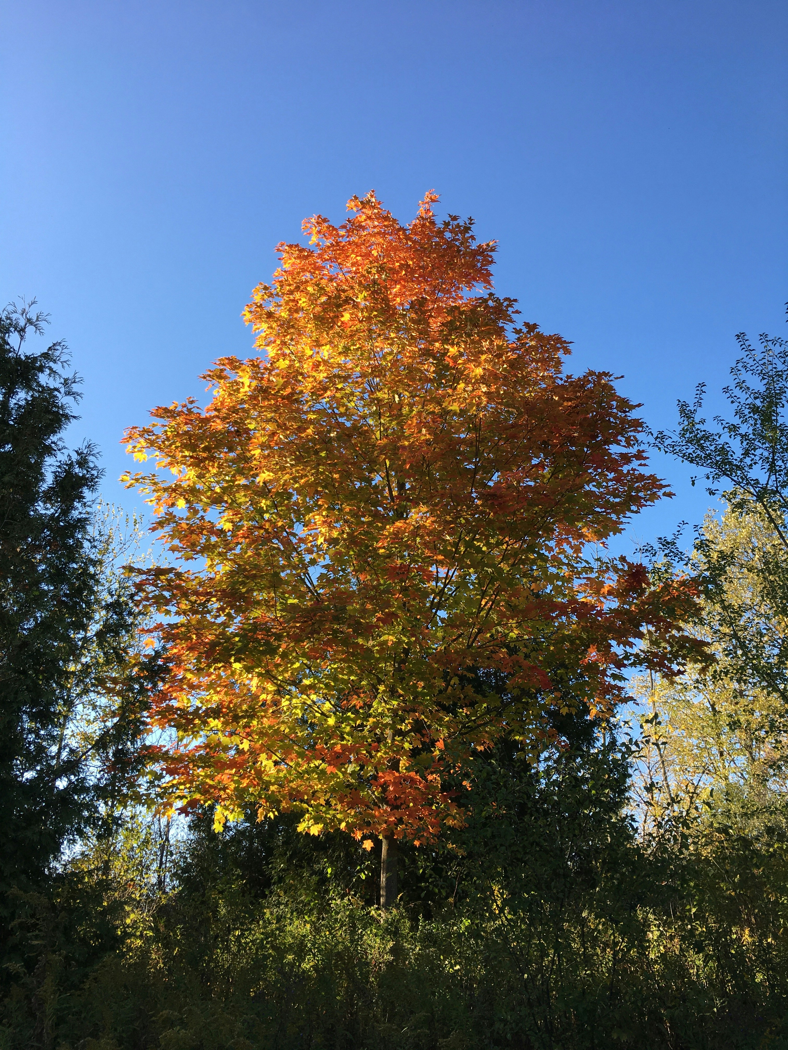 Photo by pamelabreznick