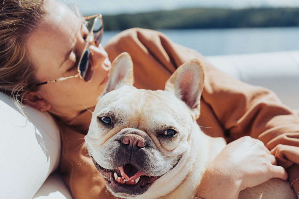 white french bulldog wearing sunglasses