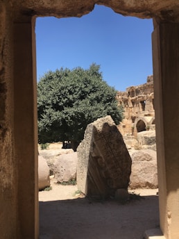 A view through a stone doorway reveals a historical archaeological site featuring various large, weathered stones and ruins. A tree is prominently visible in the mid-ground, surrounded by several scattered boulders under a clear blue sky.