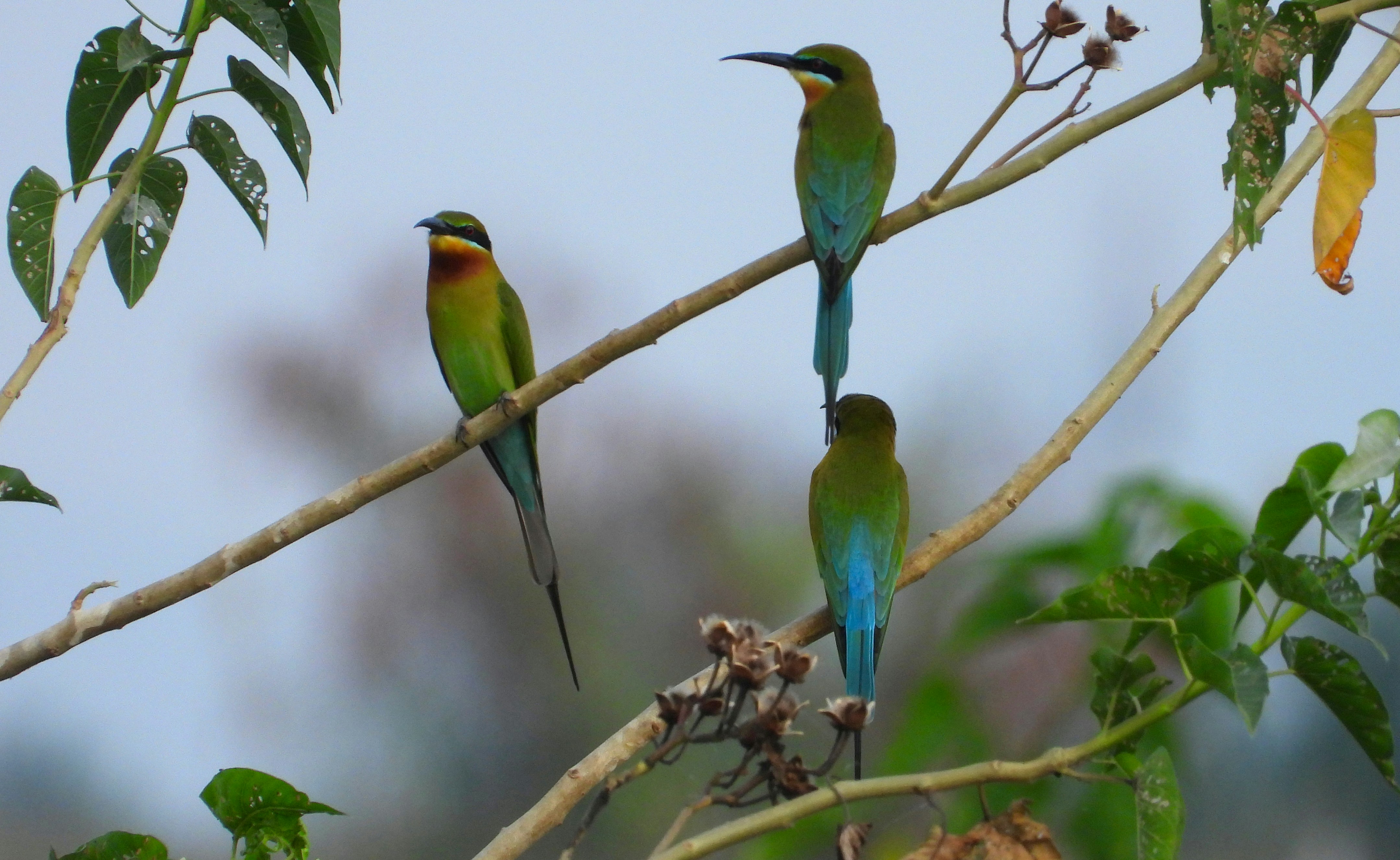 Photo by mooncolonytn60