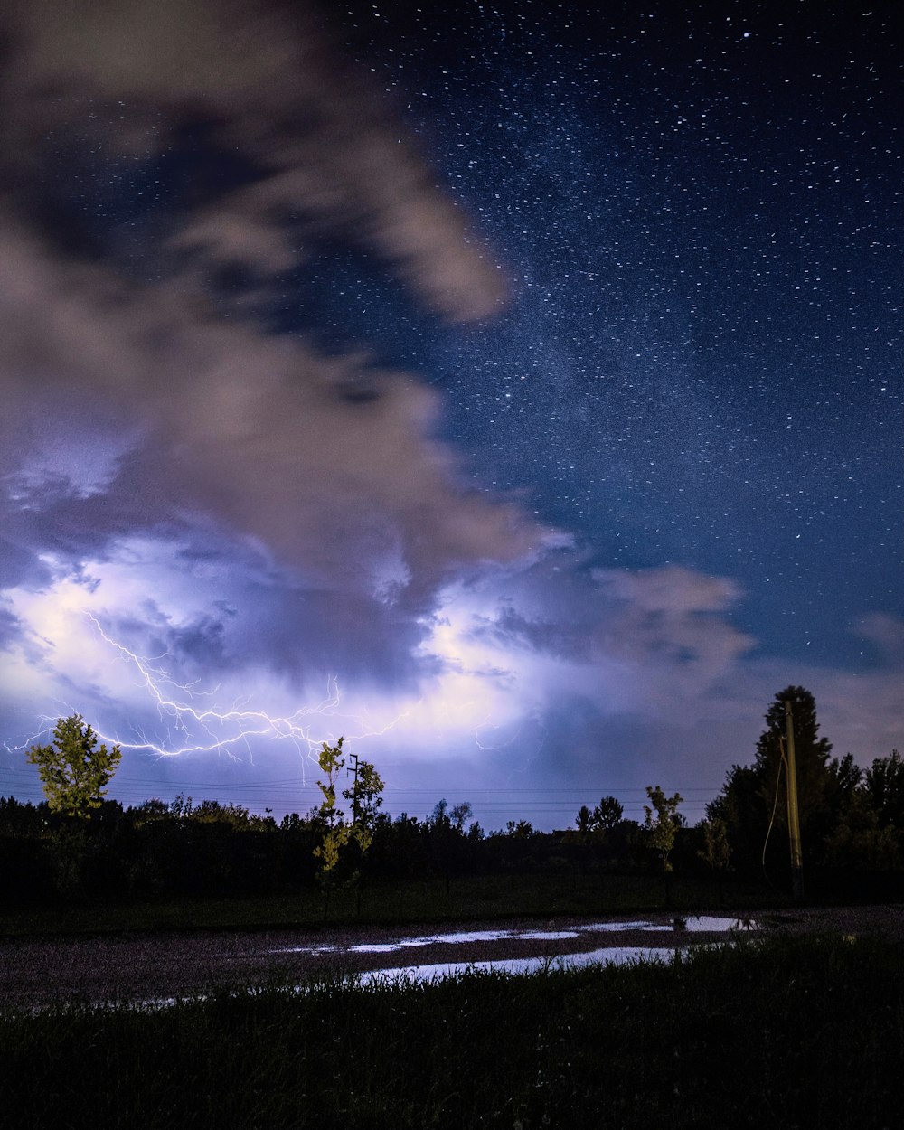 green trees near body of water under blue sky during night time