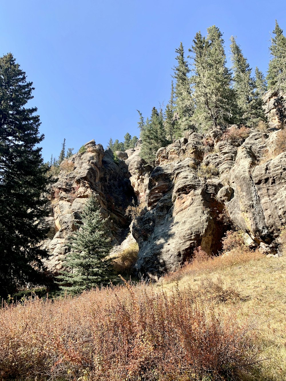 green pine trees near brown rock formation under blue sky during daytime