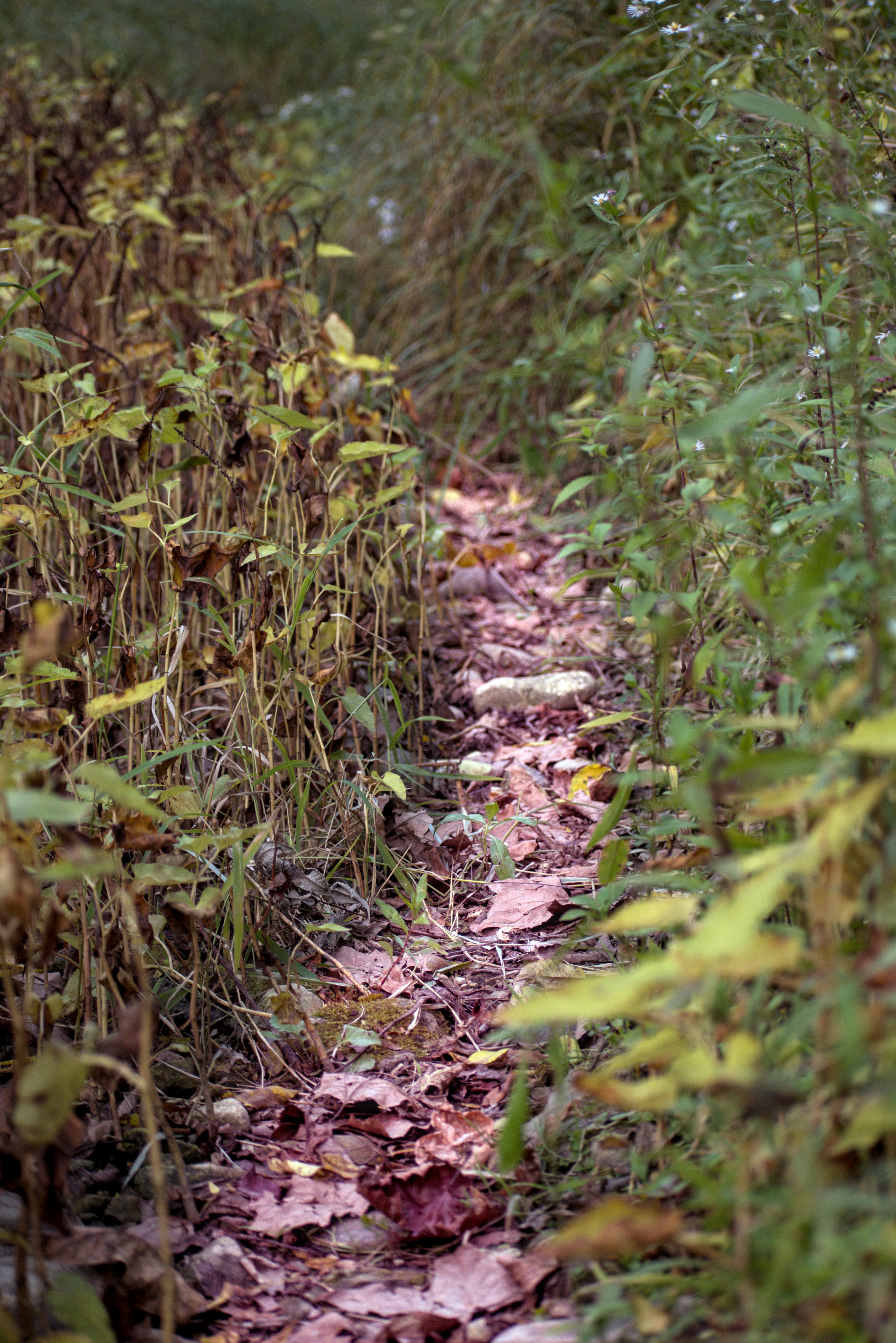 columbus ohio real estate