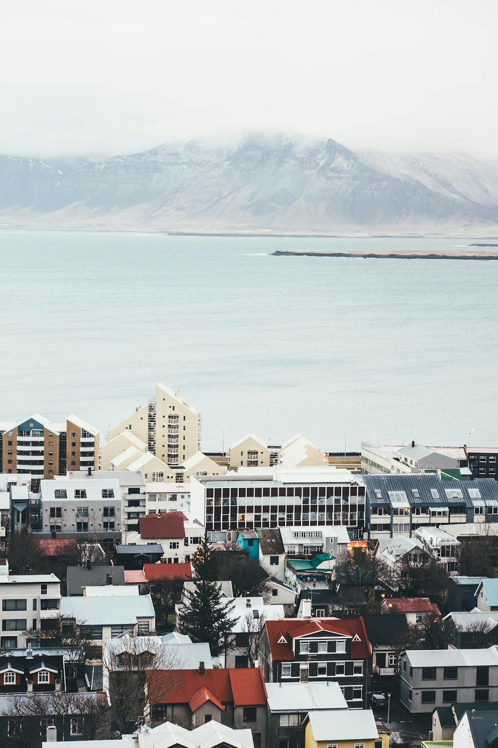 white and brown concrete buildings near body of water during daytime